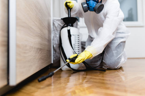 Best Rat Extermination Near Me  in Mccordsville, IN