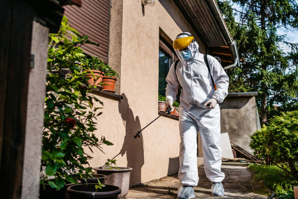 Best Flea Control Services  in Mccordsville, IN