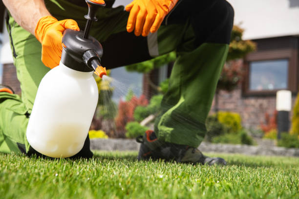 Best Cockroach Control Services  in Mccordsville, IN