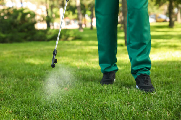 Best Wasp Removal Services  in Mccordsville, IN