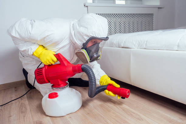 Flea Control Services in Mccordsville, IN