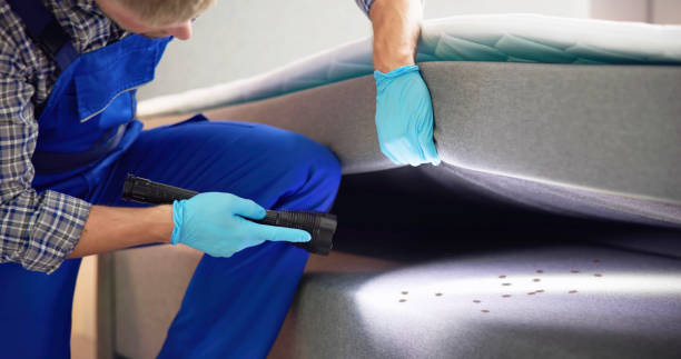 Best Ant Control Services  in Mccordsville, IN