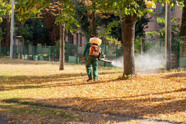 Trusted Mccordsville, IN Pest Control Experts