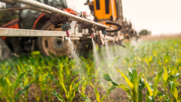 Best Best Pest Control Companies  in Mccordsville, IN