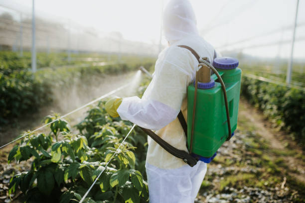 Best Local Pest Control Services  in Mccordsville, IN